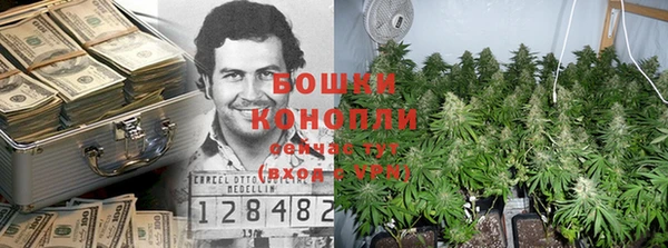 кокс Арсеньев
